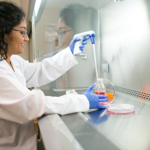 Woman taking samples from dish in a lab.