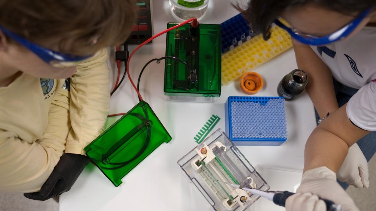 Students injecting substance into test tubes