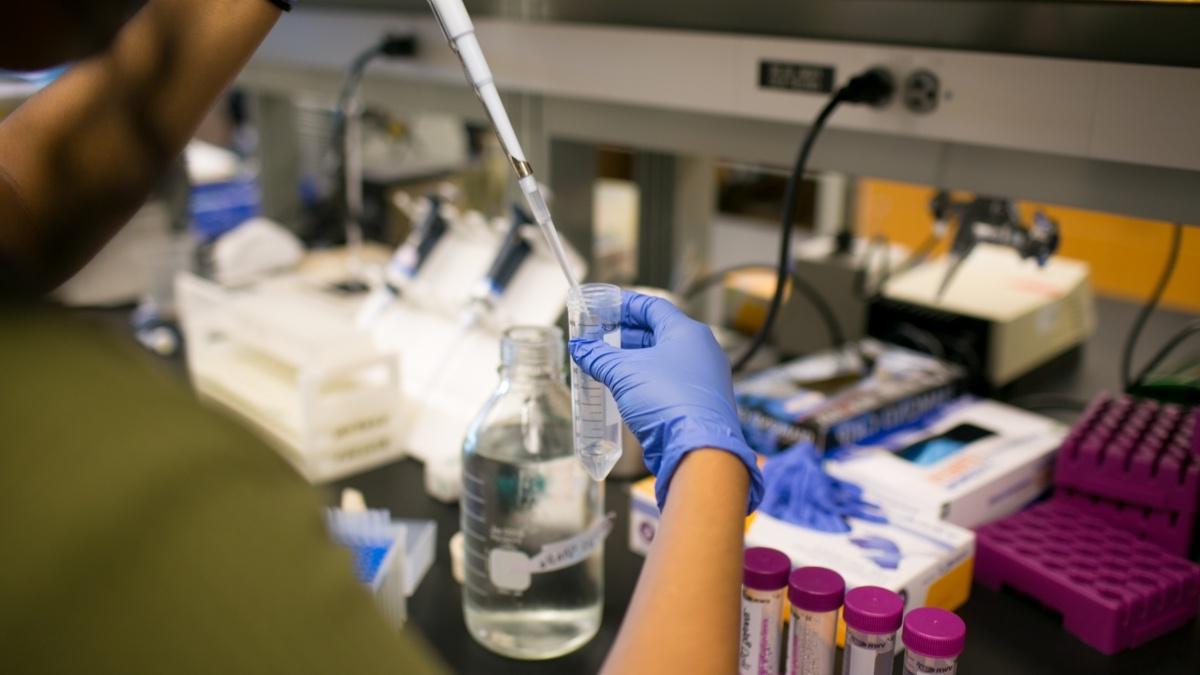 Person using a pipette to transfer liquids from one vial to another vial